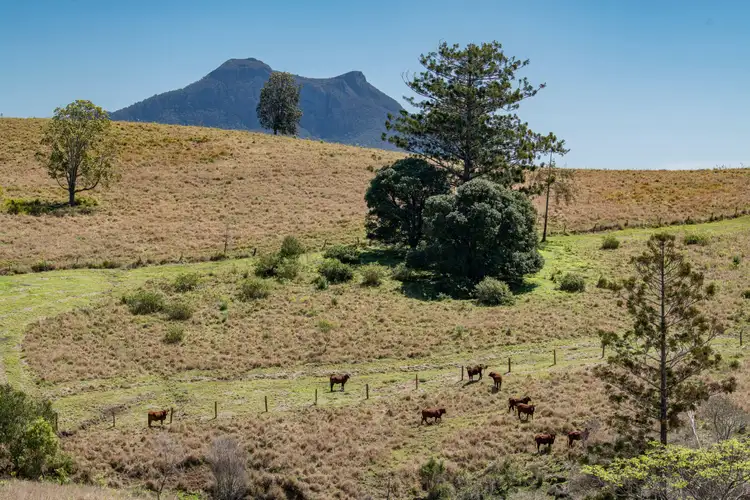 Sixth view of Homely rural property listing, Lot 1 88 Glenoake Road, Barney View QLD 4287