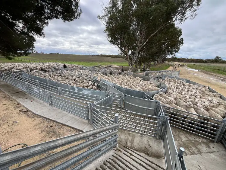 Third view of Homely rural property listing, 2117 Senior Road, Senior SA 5268