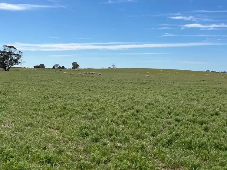 Seventh view of Homely rural property listing, 2117 Senior Road, Senior SA 5268