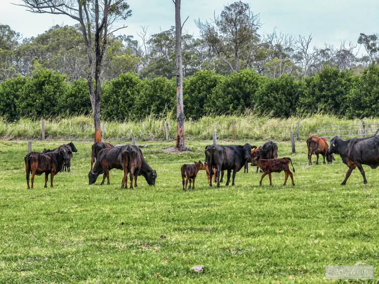 Fourth view of Homely rural property listing, 82 Hunts Crossing Road, Moorland QLD 4670