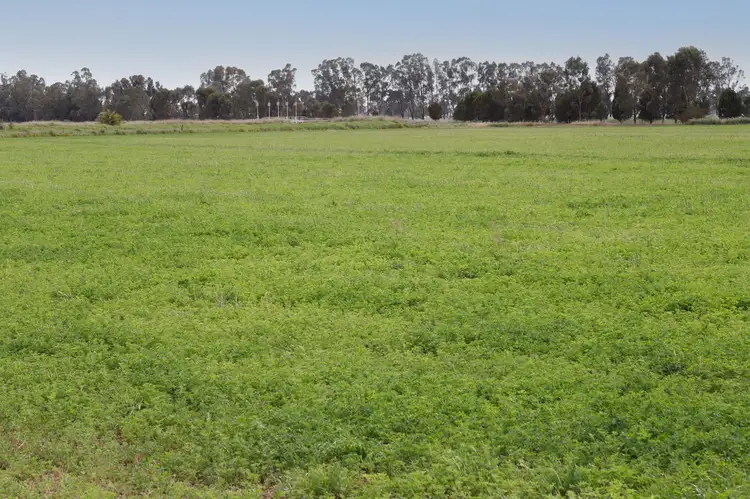 Fifth view of Homely rural property listing, 1000 Finlay Road, Kyabram VIC 3620