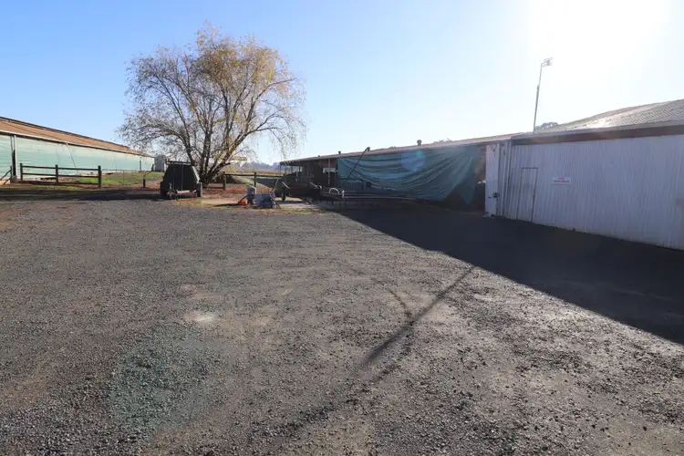 Seventh view of Homely rural property listing, 1000 Finlay Road, Kyabram VIC 3620