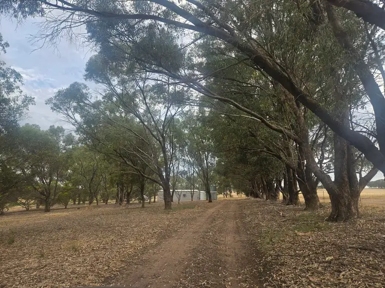 Third view of Homely rural property listing, 172 Fane Road, Bonniefield WA 6525