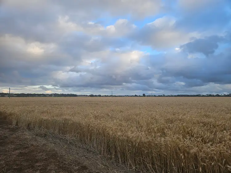 Fourth view of Homely rural property listing, 64 Bonniefield Road East, Bonniefield WA 6525