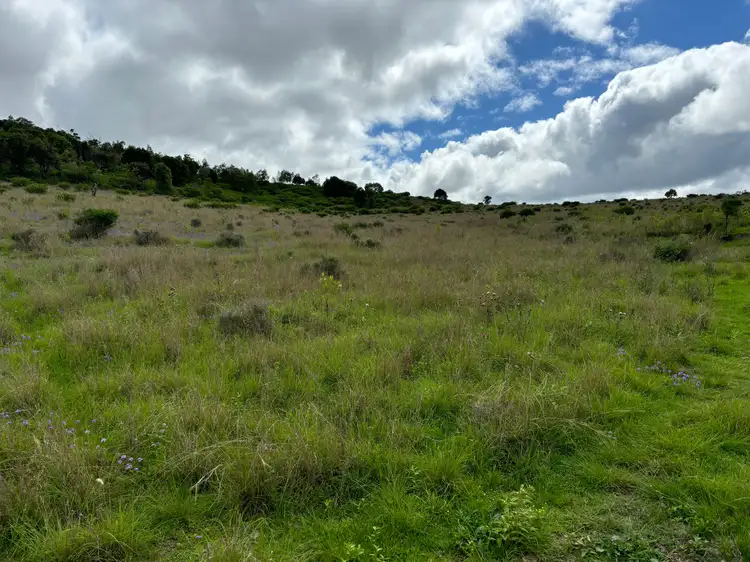 Sixth view of Homely rural property listing, Lot 198 Pechey Maclagan Road, Groomsville QLD 4352