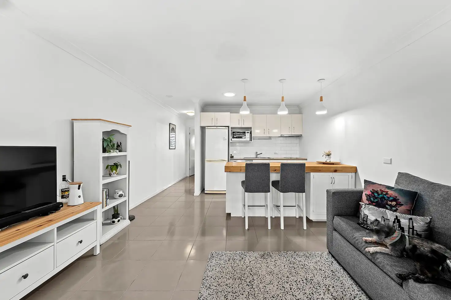 Main view of Homely unit listing, 19/493 Ipswich Road, Annerley QLD 4103