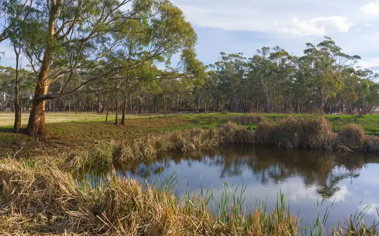Fourth view of Homely rural property listing, 1075 Ayresford Road, Ecklin South VIC 3265