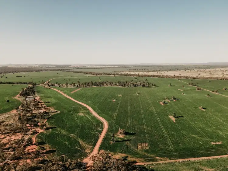Second view of Homely rural property listing, 'Glenkerry' 492 Eremeran Road, Condobolin NSW 2877