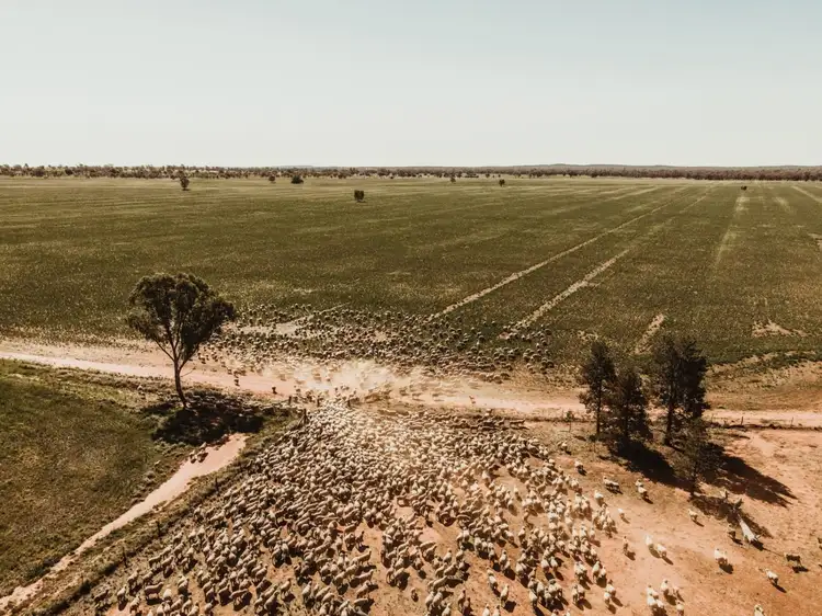 Third view of Homely rural property listing, 'Glenkerry' 492 Eremeran Road, Condobolin NSW 2877