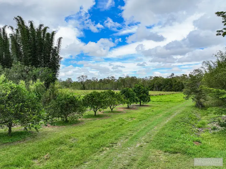 Sixth view of Homely rural property listing, 58 Jealous Road, Byfield QLD 4703