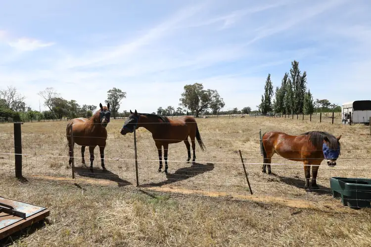 Main view of Homely rural property listing, Lot 2 Benalla-Tocumwal Road, Muckatah VIC 3644