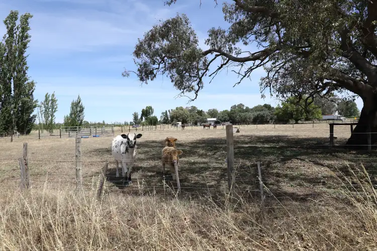 Fifth view of Homely rural property listing, Lot 2 Benalla-Tocumwal Road, Muckatah VIC 3644