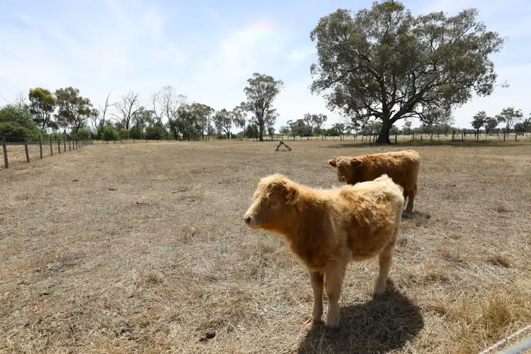 Sixth view of Homely rural property listing, Lot 2 Benalla-Tocumwal Road, Muckatah VIC 3644