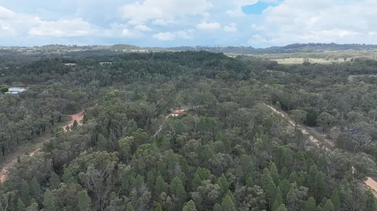 Fourth view of Homely land listing, 116 Sullivans Road, Coonabarabran NSW 2357
