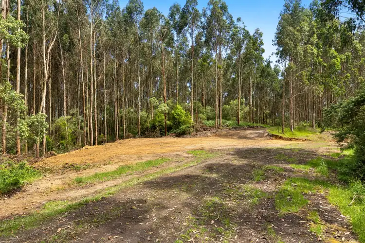 Fourth view of Homely rural property listing, 165 Hiders Access Road, Yuulong VIC 3237