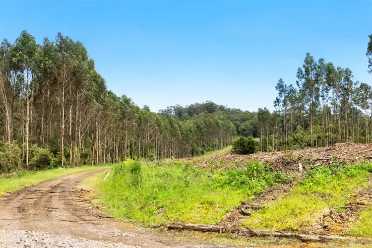 Fifth view of Homely rural property listing, 165 Hiders Access Road, Yuulong VIC 3237