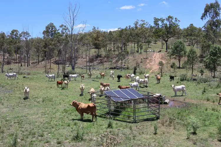 Second view of Homely rural property listing, Lot 33, 34 & 35 Bilboolan Road, Mungy, Mount Perry QLD 4671