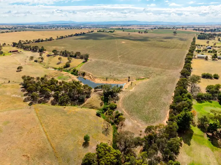 Fifth view of Homely rural property listing, 70 Kinvara Road, Junee NSW 2663