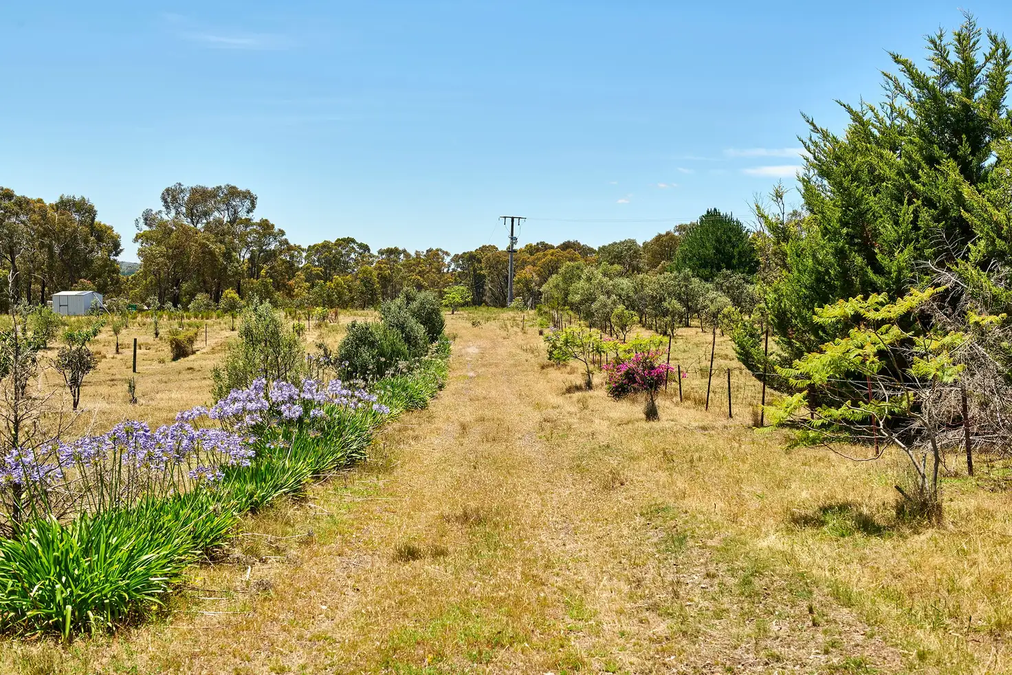 Main view of Homely land listing, 71 Brennan Road, Heathcote VIC 3523