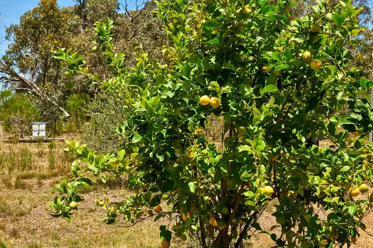 Third view of Homely land listing, 71 Brennan Road, Heathcote VIC 3523