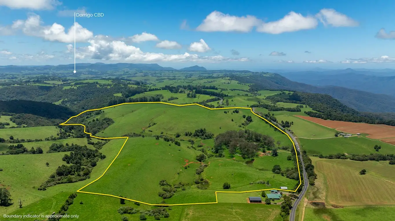 Main view of Homely rural property listing, 5458 Waterfall Way, Fernbrook NSW 2453