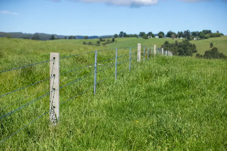 Fourth view of Homely rural property listing, 5458 Waterfall Way, Fernbrook NSW 2453