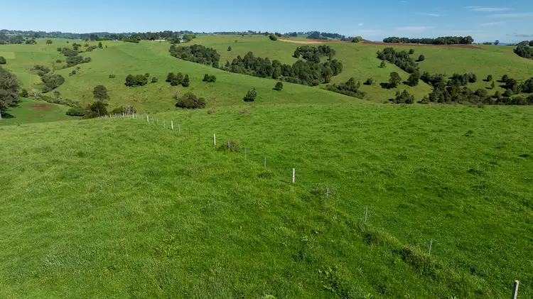 Fifth view of Homely rural property listing, 5458 Waterfall Way, Fernbrook NSW 2453