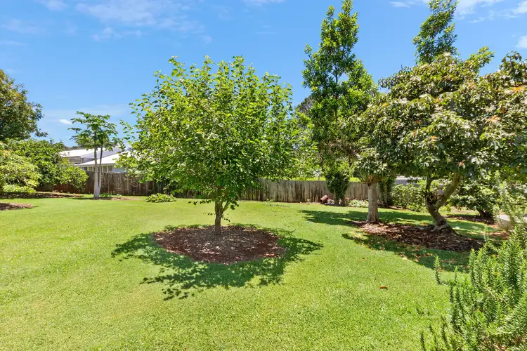 Main view of Homely house listing, 41 Licuala Drive, Tamborine Mountain QLD 4272
