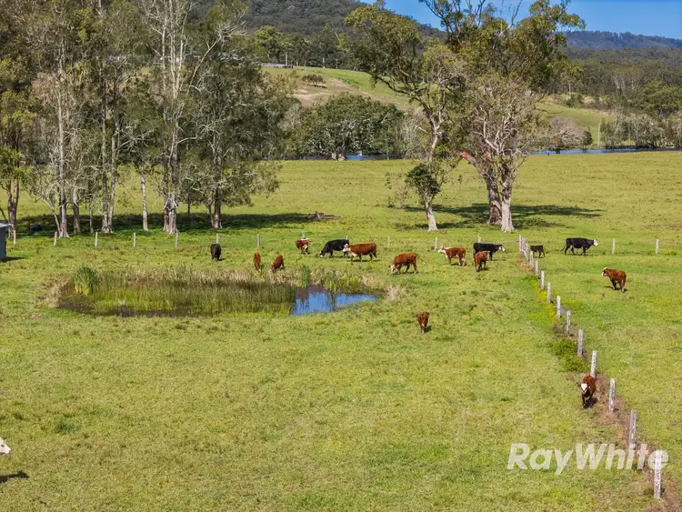 Main view of Homely rural property listing, 19 Kestevens Road, Bulahdelah NSW 2423