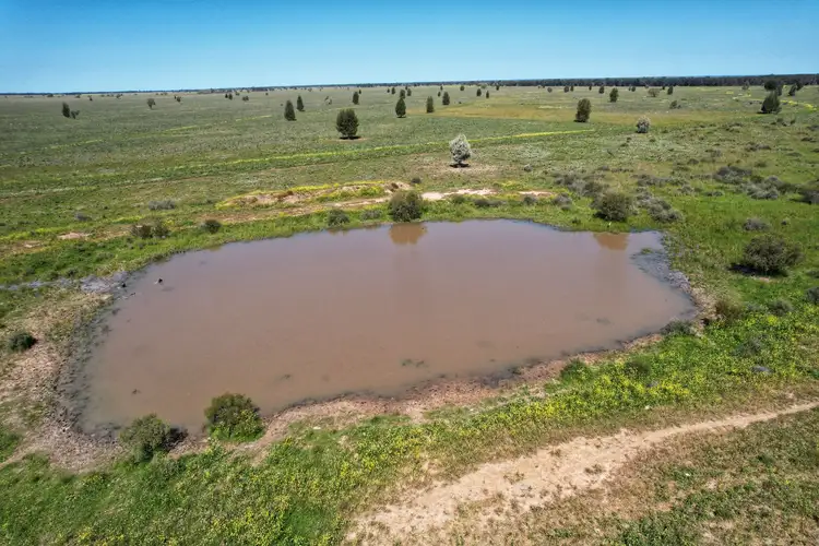 Third view of Homely rural property listing, 5778 Dandaloo Road, Dandaloo NSW 2823
