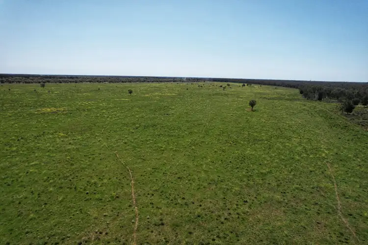 Third view of Homely rural property listing, 5778 Dandaloo Road, Dandaloo NSW 2823