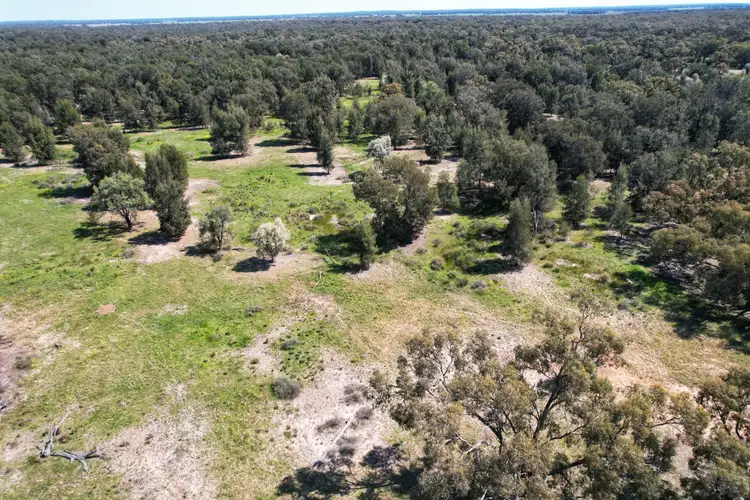 Fifth view of Homely rural property listing, 5778 Dandaloo Road, Dandaloo NSW 2823