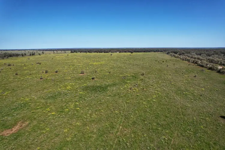 Fifth view of Homely rural property listing, 5778 Dandaloo Road, Dandaloo NSW 2823