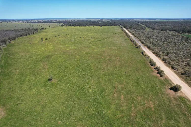 Sixth view of Homely rural property listing, 5778 Dandaloo Road, Dandaloo NSW 2823
