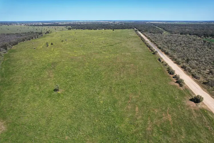 Seventh view of Homely rural property listing, 5778 Dandaloo Road, Dandaloo NSW 2823