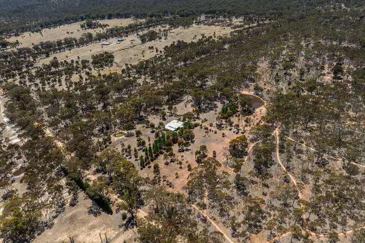 Fourth view of Homely house listing, 195 Lennons Lane, Landsborough VIC 3384