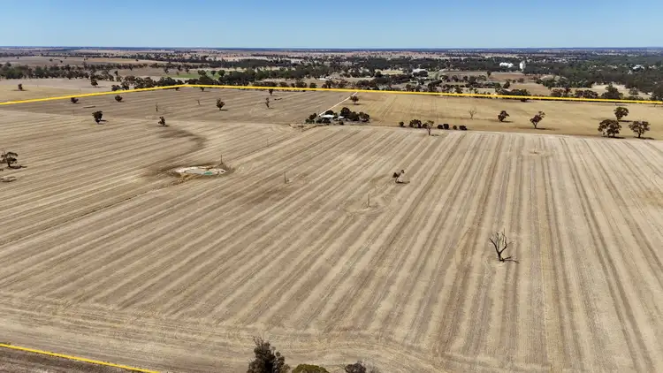 Second view of Homely rural property listing, 130 Racecourse Road, Bordertown SA 5268