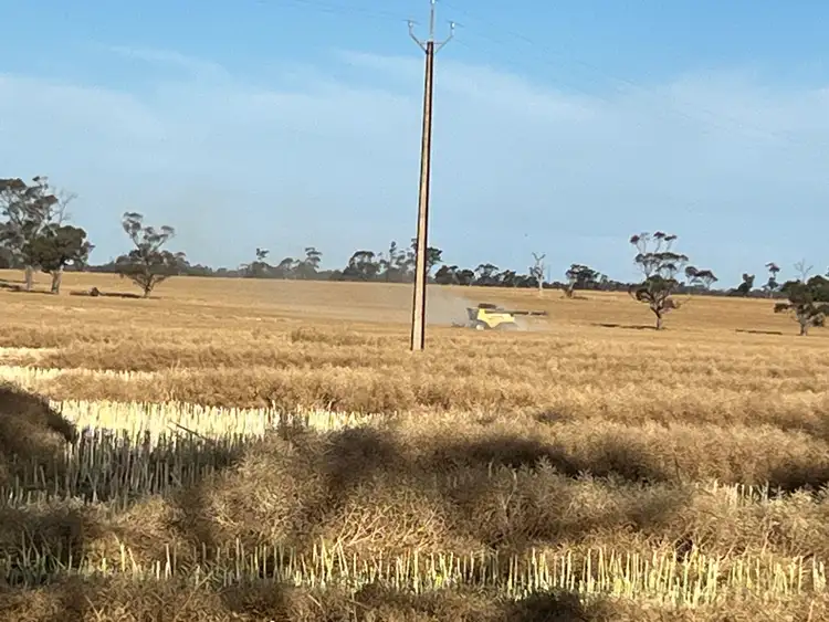 Seventh view of Homely rural property listing, 130 Racecourse Road, Bordertown SA 5268