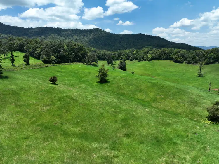 Second view of Homely rural property listing, 659 Middlebrook Road, Middlebrook QLD 4886