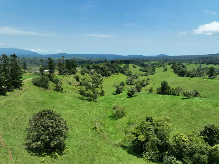 Seventh view of Homely rural property listing, 659 Middlebrook Road, Middlebrook QLD 4886