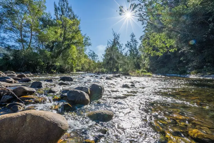 Fourth view of Homely rural property listing, 32 Longbottoms Road, Chichester via, Dungog NSW 2420