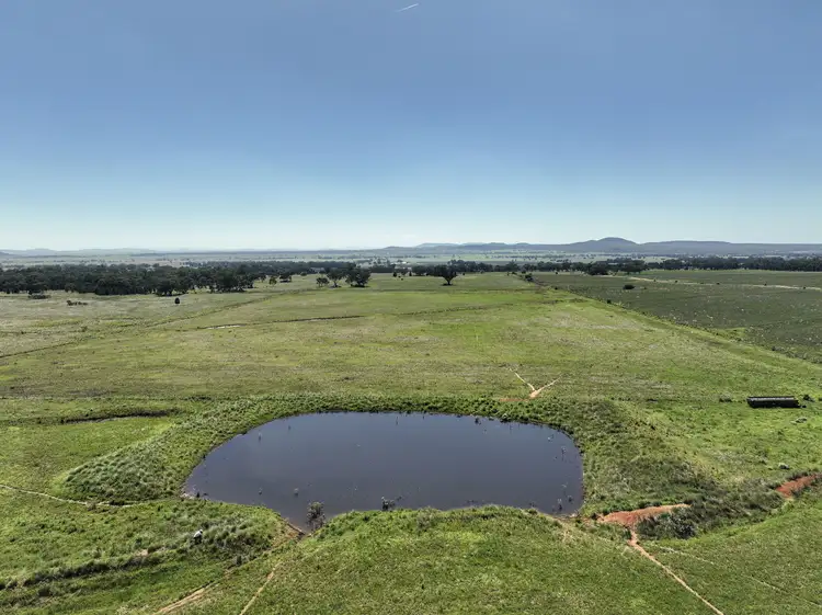 Second view of Homely rural property listing, 8722 Black Stump Way, Tambar Springs NSW 2381