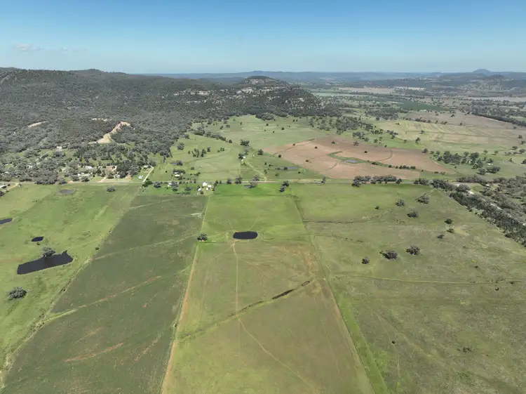 Third view of Homely rural property listing, 8722 Black Stump Way, Tambar Springs NSW 2381