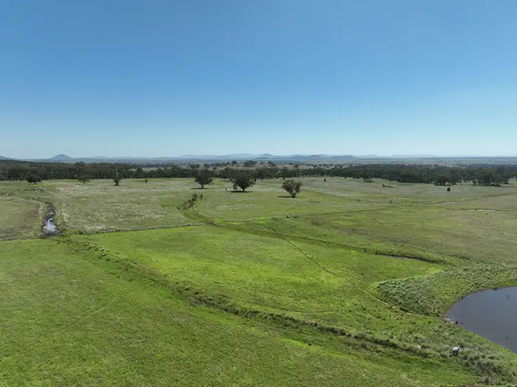 Fourth view of Homely rural property listing, 8722 Black Stump Way, Tambar Springs NSW 2381