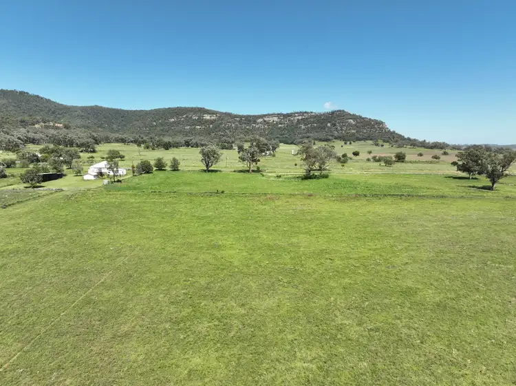 Fifth view of Homely rural property listing, 8722 Black Stump Way, Tambar Springs NSW 2381