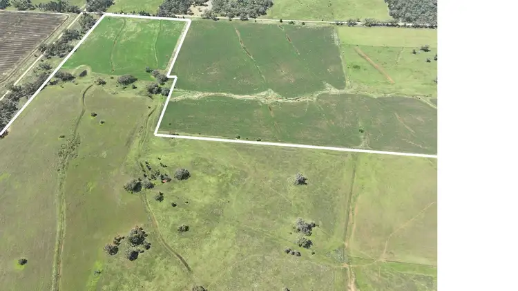 Sixth view of Homely rural property listing, 8722 Black Stump Way, Tambar Springs NSW 2381