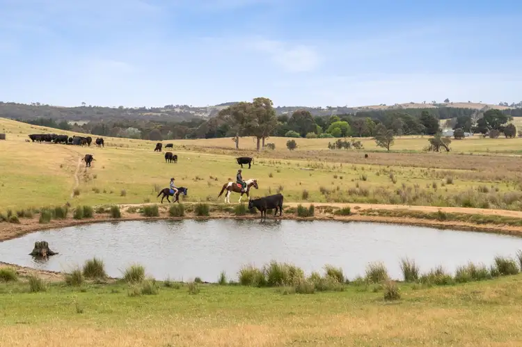 Second view of Homely land listing, "Springhill" 959 Spring Range Road, Springrange NSW 2618