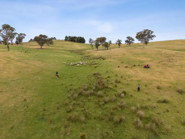 Third view of Homely land listing, "Springhill" 959 Spring Range Road, Springrange NSW 2618