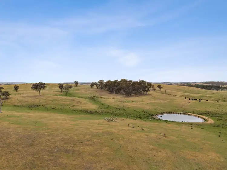 Fourth view of Homely land listing, "Springhill" 959 Spring Range Road, Springrange NSW 2618