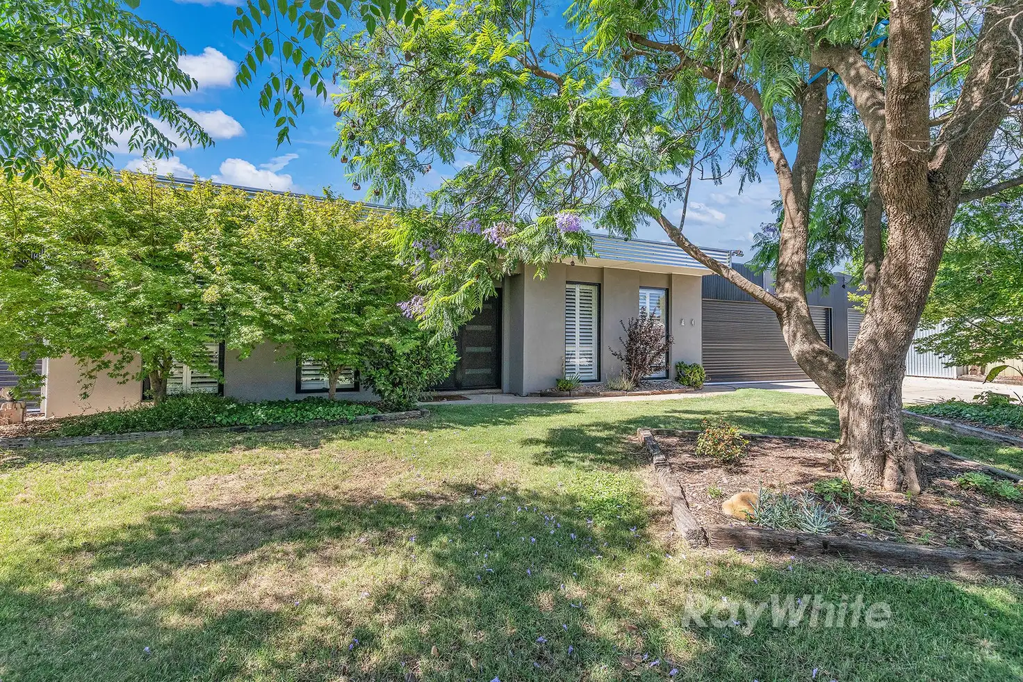 Main view of Homely house listing, 23 McKinlay Street, Echuca VIC 3564